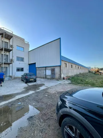 Location Hangar Blida Boufarik 17