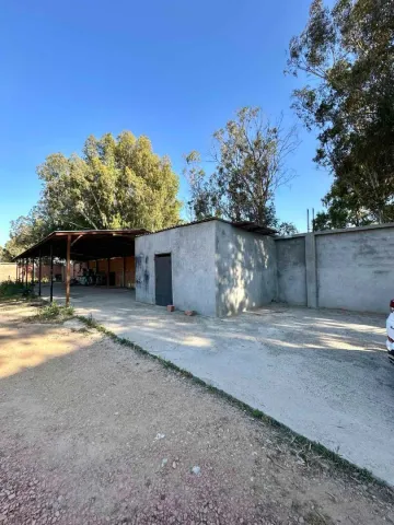 Location Hangar Blida Boufarik 6