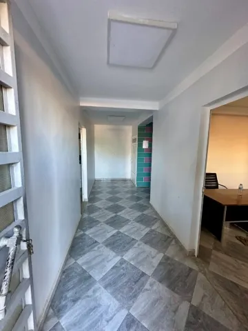 Location Hangar Blida Boufarik 31