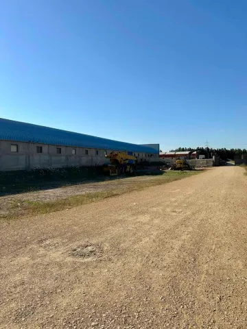 Location Hangar Blida Boufarik 21