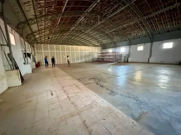 Location Hangar Blida Boufarik 32