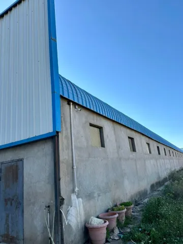 Location Hangar Blida Boufarik 4