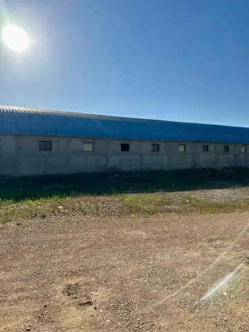 Location Hangar Blida Boufarik 29