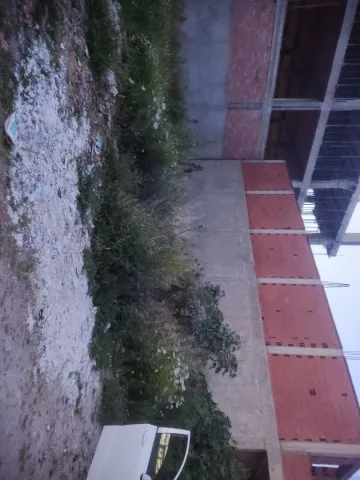 Vente Terrain Blida Meftah 4