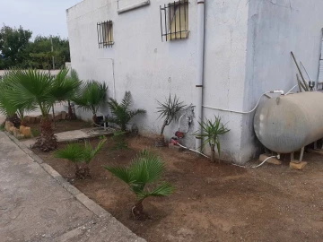 Location vacances Bungalow Boumerdès Zemmouri 30