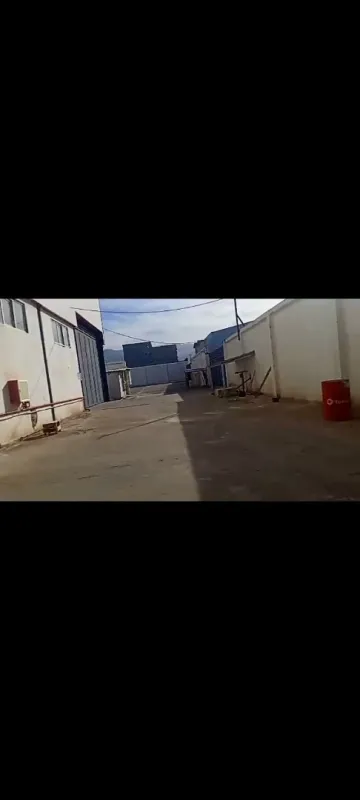 Location Hangar Blida Beni tamou 8