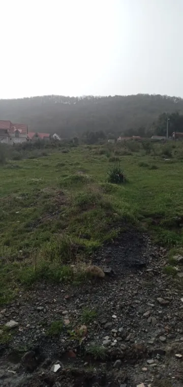 Vente Terrain Tizi Ouzou Yakouren