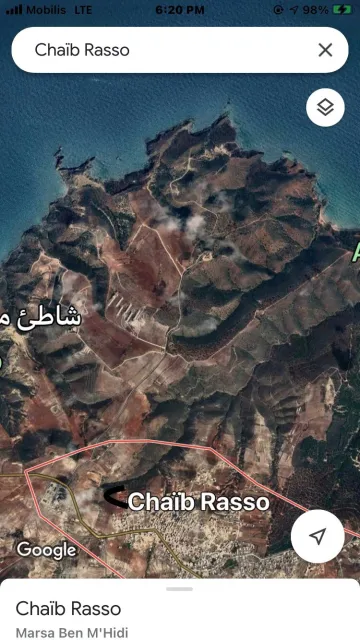 Vente Terrain Tlemcen Marsa ben mhidi 2