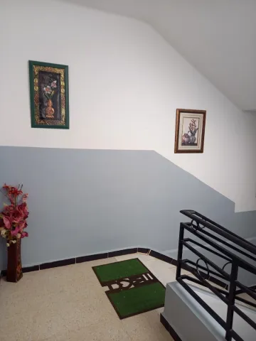 Vente Appartement F6 Tlemcen Tlemcen 17