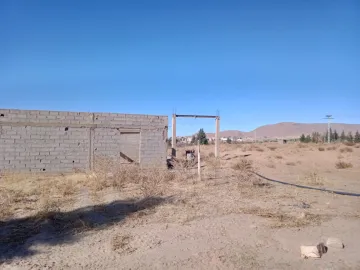 Vente Terrain Agricole Naâma Sfissifa 2