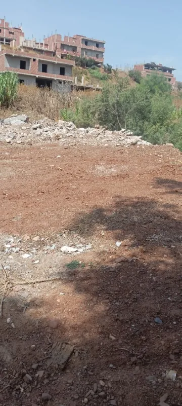 Vente Terrain Boumerdès Tidjelabine 10