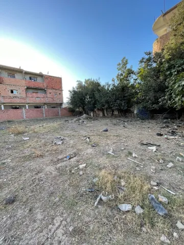Vente Terrain Blida Soumaa 2