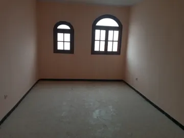 Location Villa Alger Les eucalyptus 21