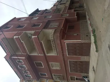 Location Villa Alger Les eucalyptus 7