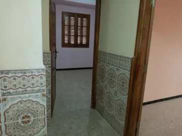 Location Villa Alger Les eucalyptus 10