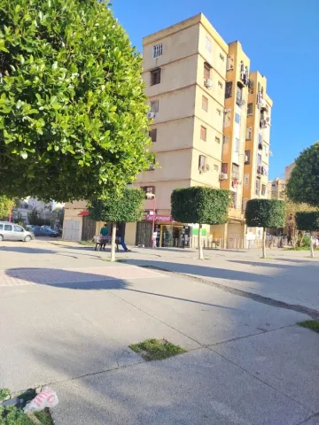 Vente Local Blida Ouled yaich 6