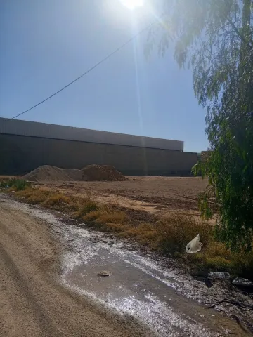 Vente Terrain Laghouat Laghouat