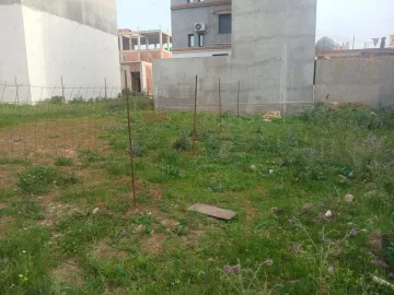 Vente Terrain Boumerdès Ouled hedadj 9