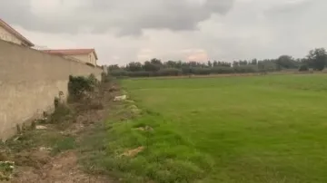 Vente Terrain Agricole Blida Boufarik 2