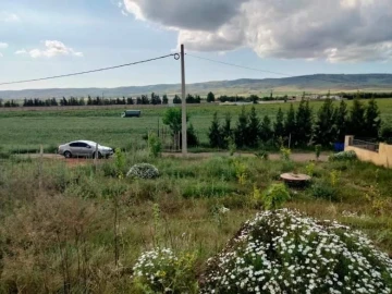 Vente Terrain Chlef Chlef 22