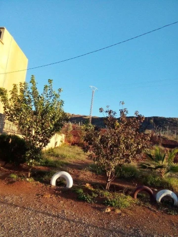 Vente Terrain Chlef Chlef 27