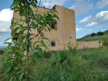 Vente Terrain Chlef Chlef 8
