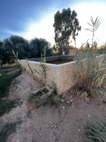 Vente Terrain Agricole Laghouat Laghouat 5