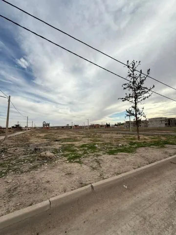 Vente Terrain Sidi Bel Abbès Sidi bel abbes 9