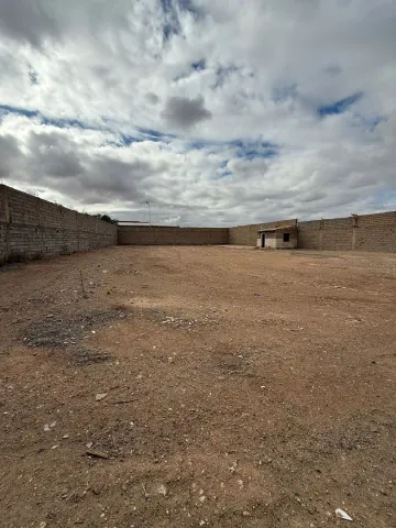 Location Terrain Sidi Bel Abbès Sidi bel abbes 5