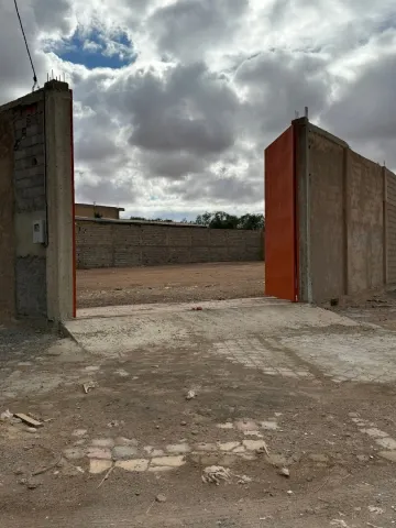 Location Terrain Sidi Bel Abbès Sidi bel abbes 7
