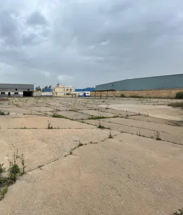 Vente Terrain Alger Baraki