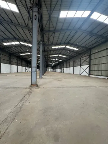 Location Terrain Alger Oued smar 2