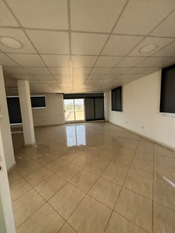 Location Terrain Alger Oued smar 4