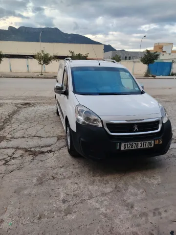 Peugeot Partner 2017 Partner 5