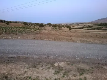 Location Terrain Médéa Berrouaghia 4