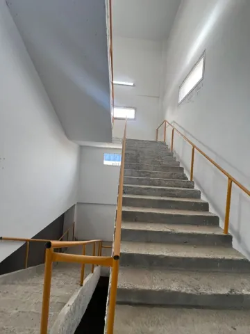 Location Immeuble Sétif Setif 51