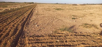 Vente Terrain Agricole Djelfa Ain oussara