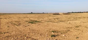 Vente Terrain Agricole Djelfa Ain oussara 7