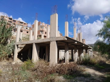 Vente Carcasse Alger Douera 3
