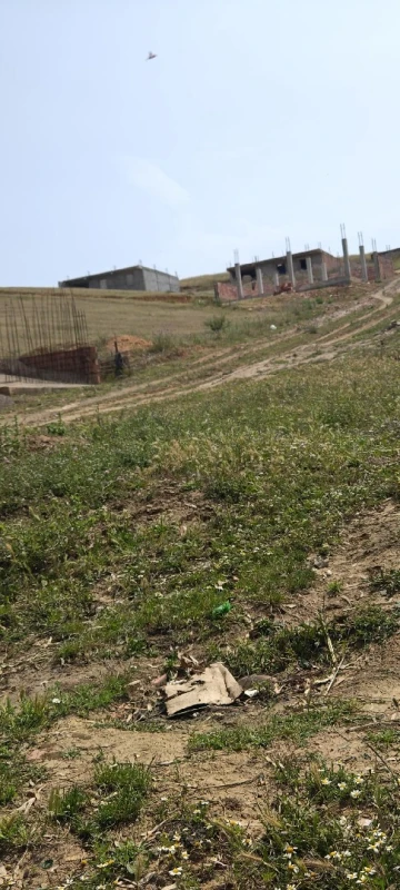 Vente Terrain Bouira Ain el hadjar 10