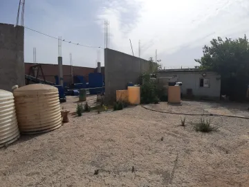 Vente Hangar Alger Tessala el merdja 5