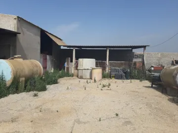 Vente Hangar Alger Tessala el merdja 7