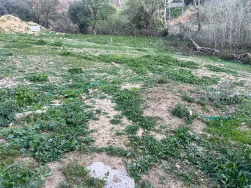 Vente Terrain Tlemcen Tlemcen