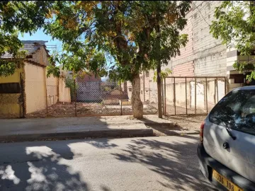 Vente Terrain Tipaza Hadjout 6