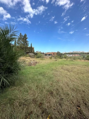 Vente Terrain Tipaza Kolea 3