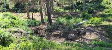 Vente Terrain Tipaza Larhat 3