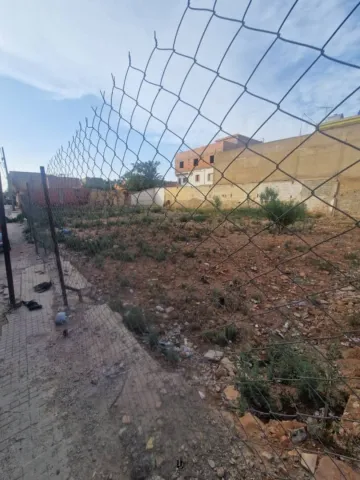 Vente Terrain Tlemcen Remchi 3