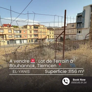 Vente Terrain Tlemcen Mansourah 3