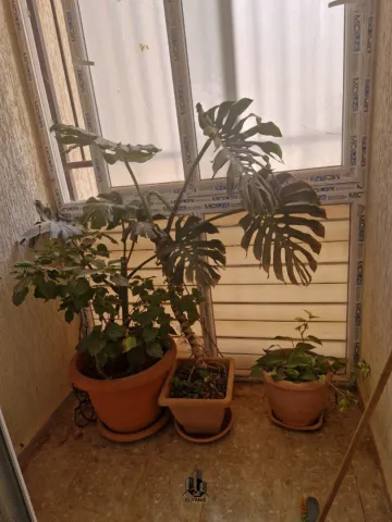 Vente Appartement F4 Tlemcen Mansourah 7