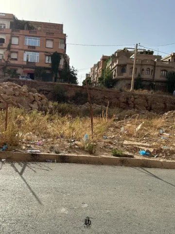 Vente Terrain Tlemcen Mansourah